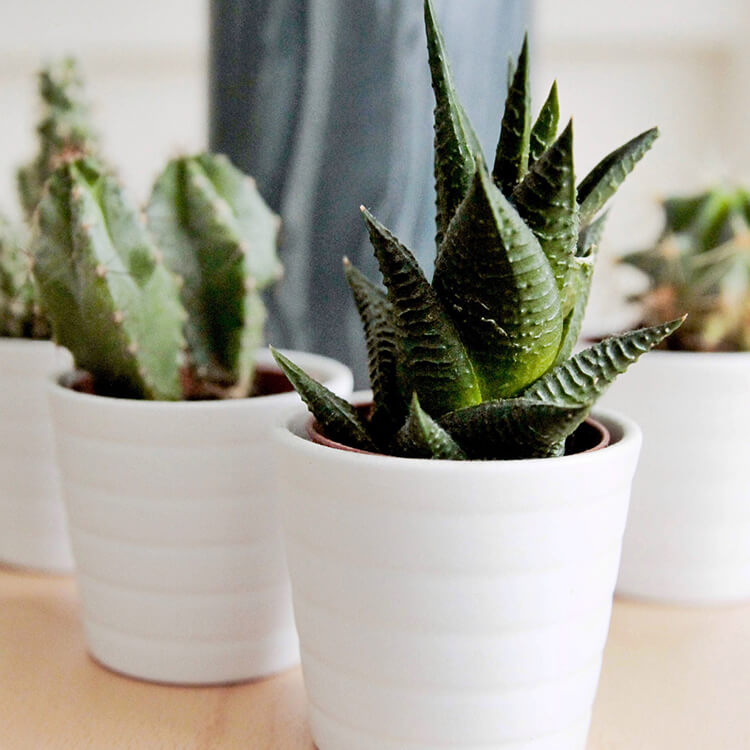 Hunters Crossing Apartment Homes in Bastrop, TX